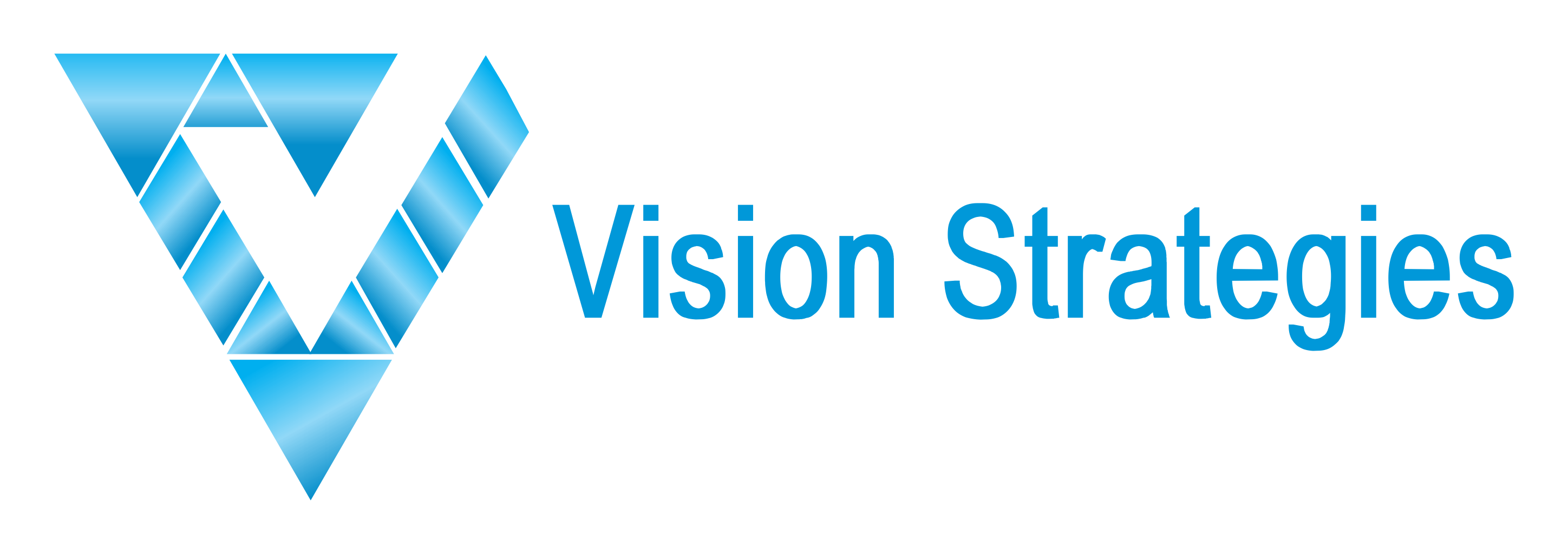 Vision Strategies